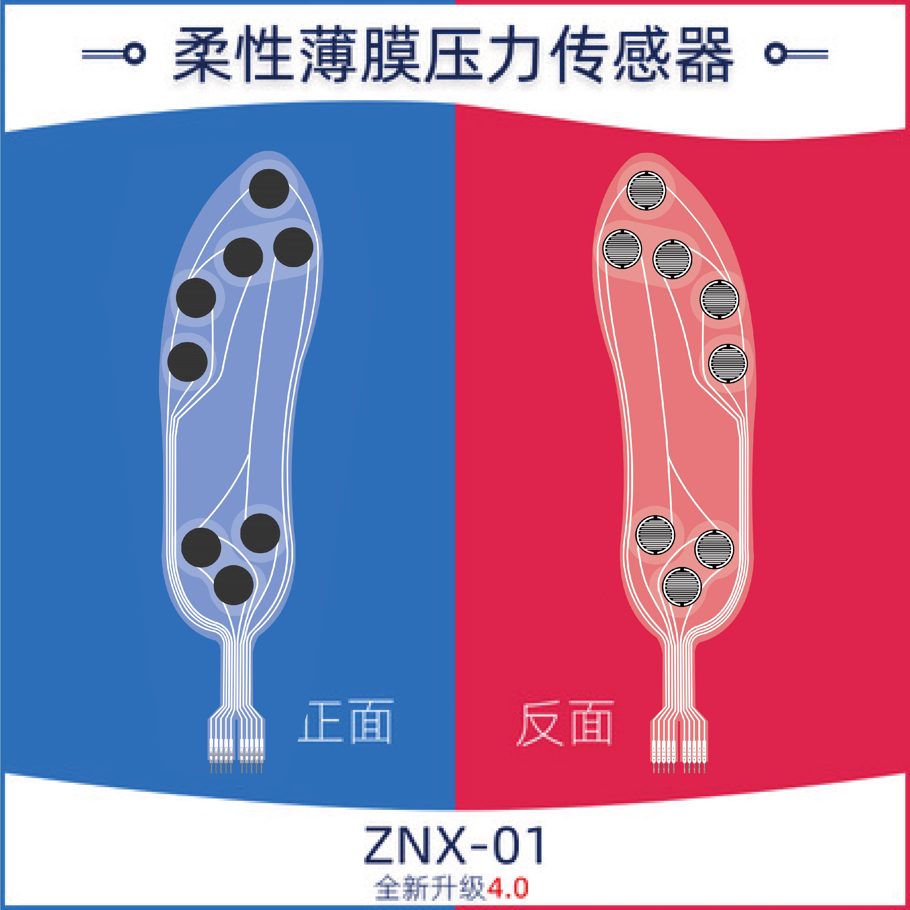 Flexible Thin Film Pressure Se - Smart Insole Pressure 리뷰 및 가격